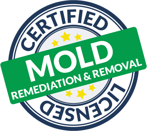 Certified and licensed mold remediation and removal