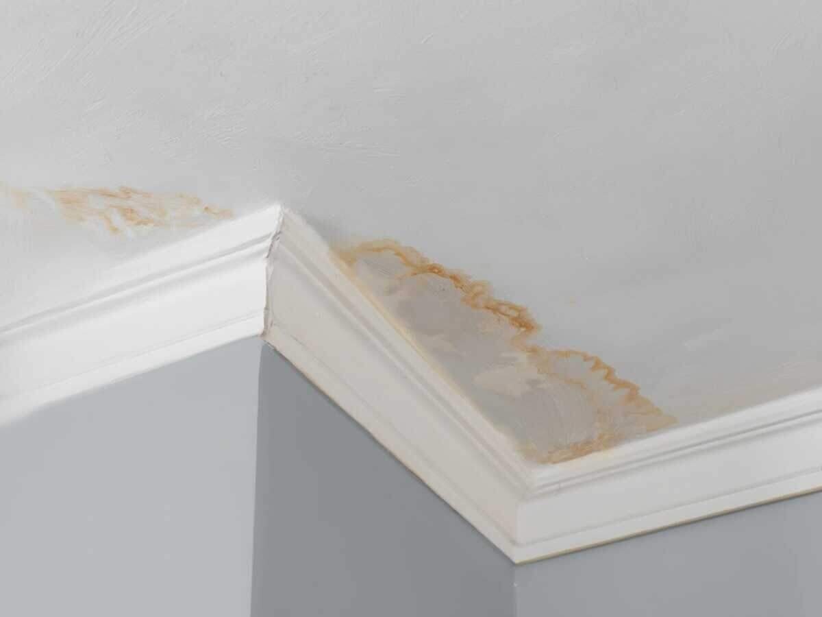 Water-stained ceiling drywall from a leak above