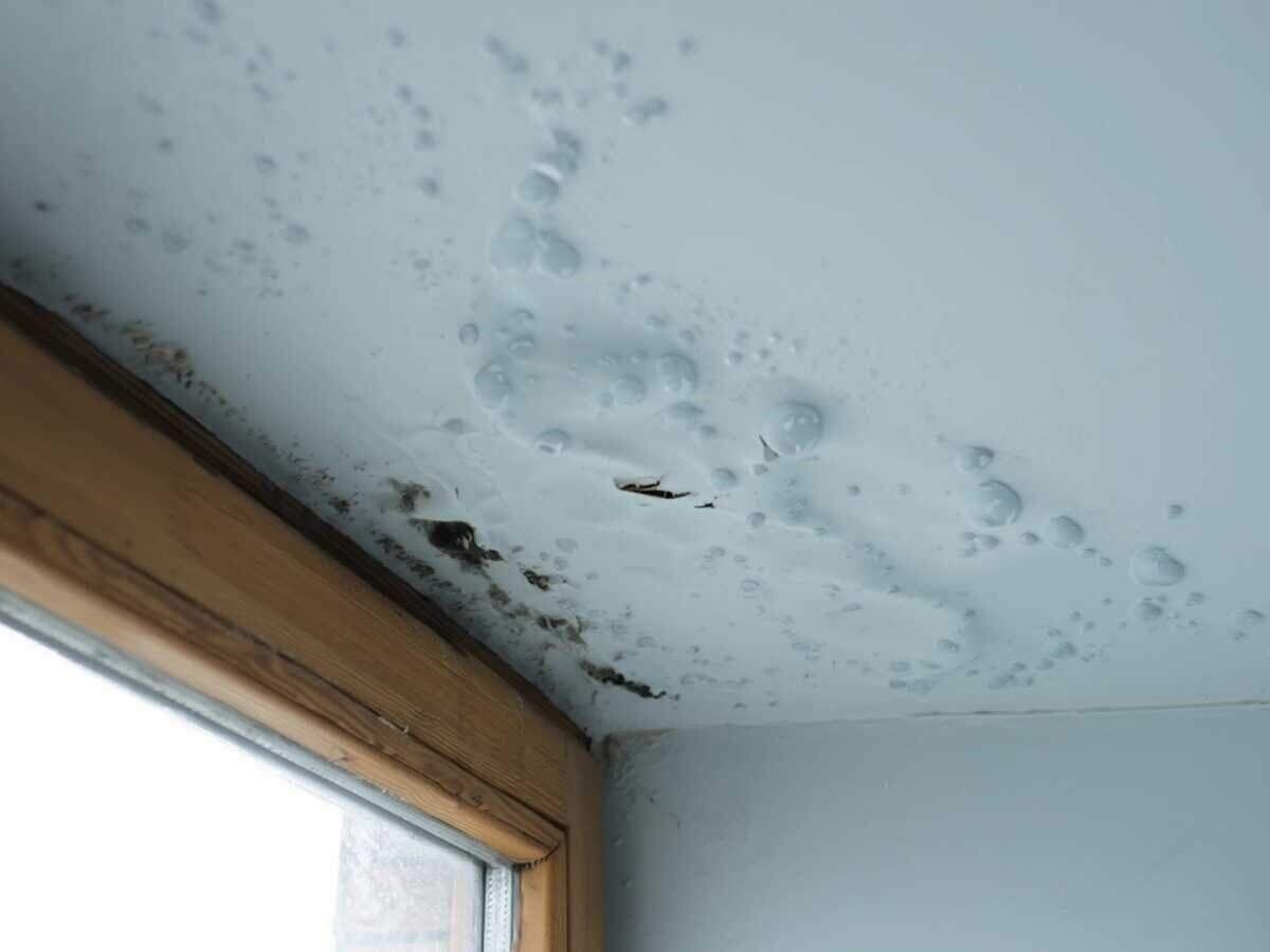 Roof leak water damage in an attic
